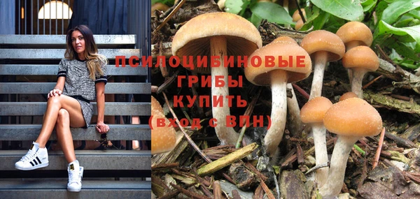 таблы Алексеевка