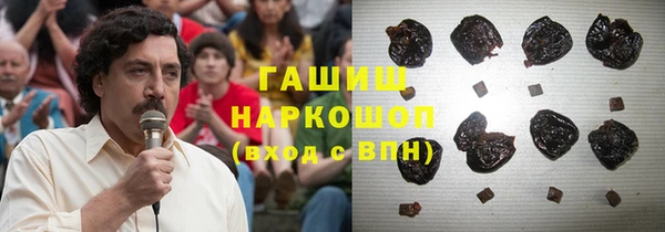 индика Алзамай