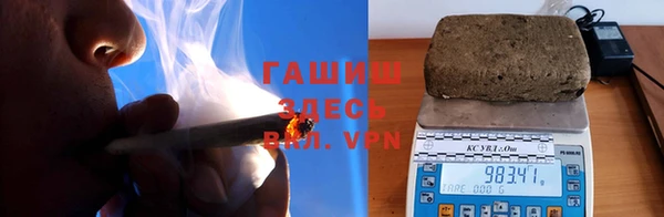 индика Алзамай